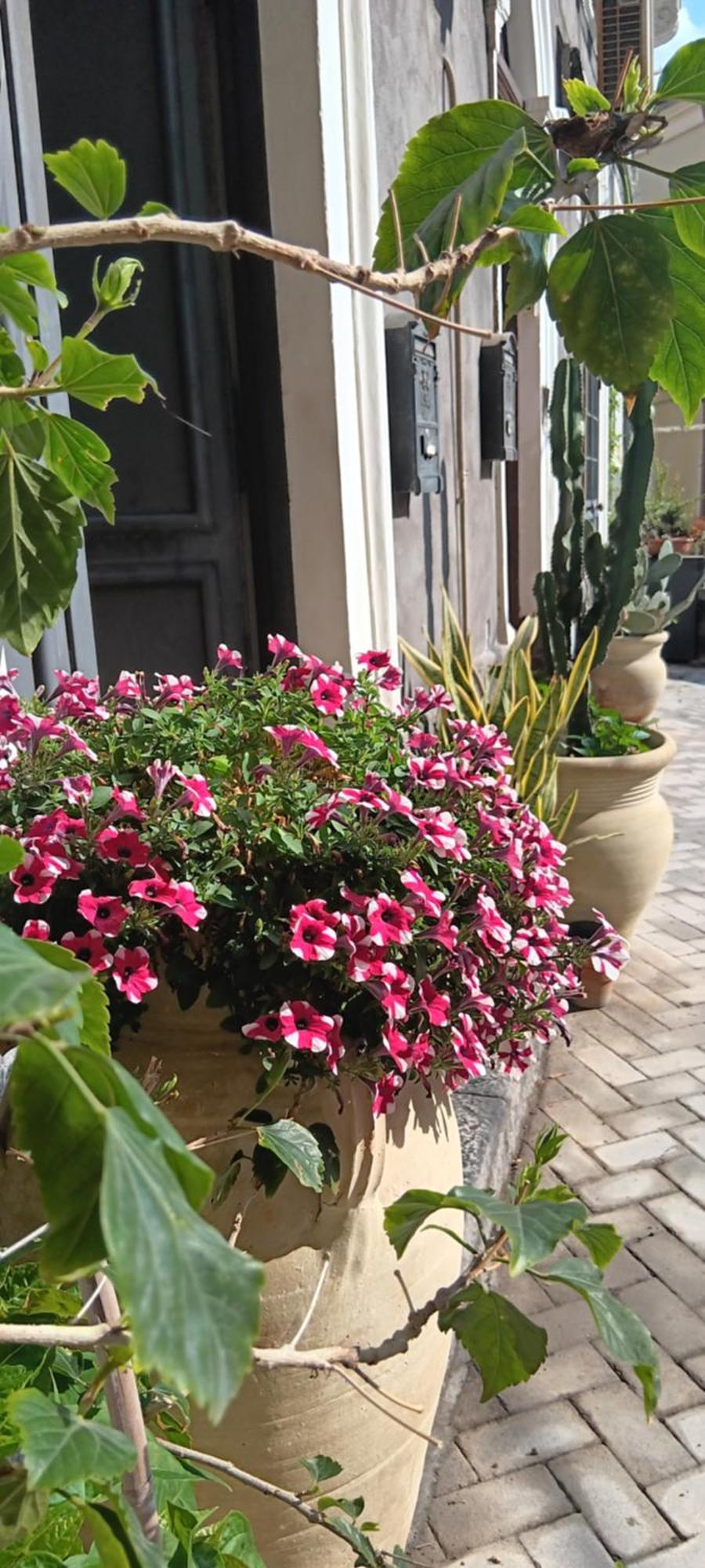 Elvira Home Catania Ngoại thất bức ảnh
